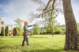 How Our Tree Care Process Works  in  Cementon, PA